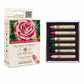 Sennelier Oil Pastels Set - Rose in Bloom - Guiry's